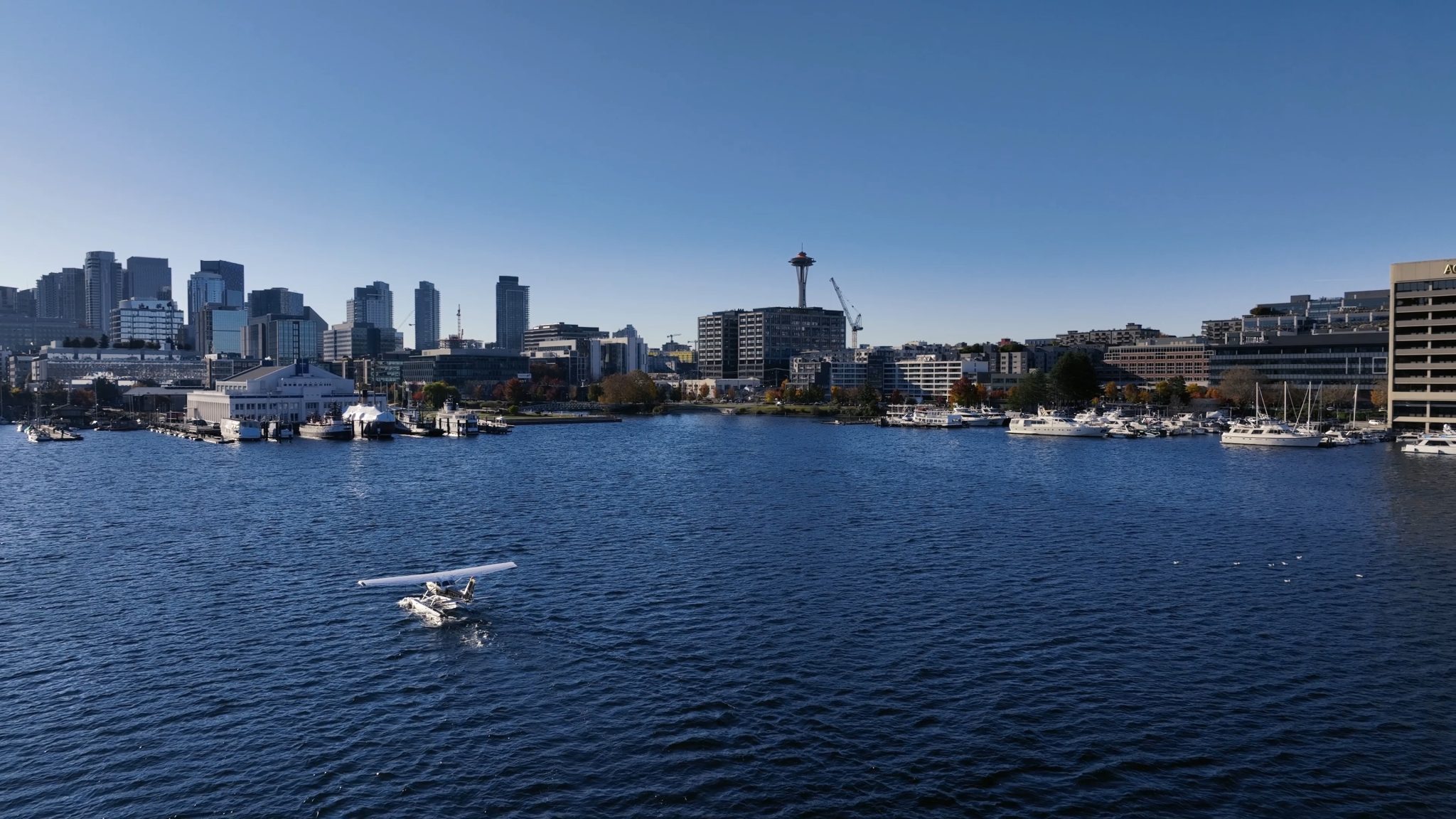 Airplane is landing on a lake with a Seattle needle skyline